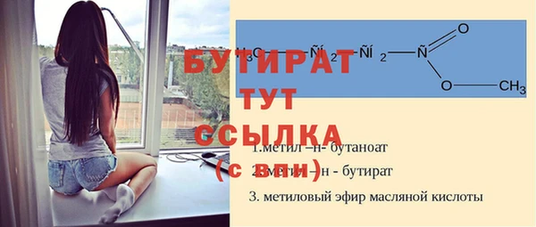 гидра Инсар