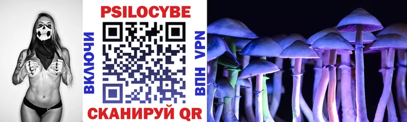Псилоцибиновые грибы мицелий  Куйбышев 